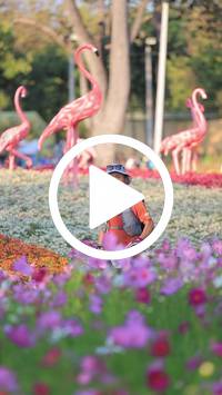 BIB:  <button type="button" onclick="openModal(27588706)" class="btn btn-primary btn-sm float-right" data-toggle="modal" data-target=".modal-high-quality">
                <i class="fa fa-download"></i> Download
                </button>